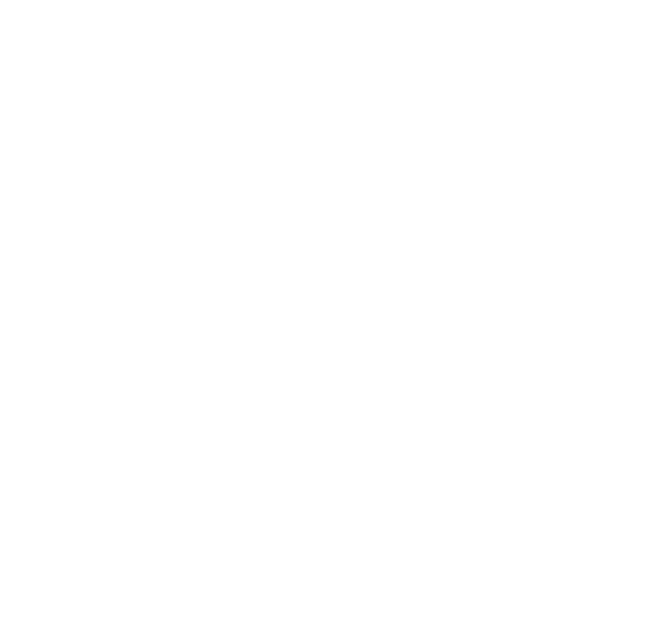 auto-caetano.ch